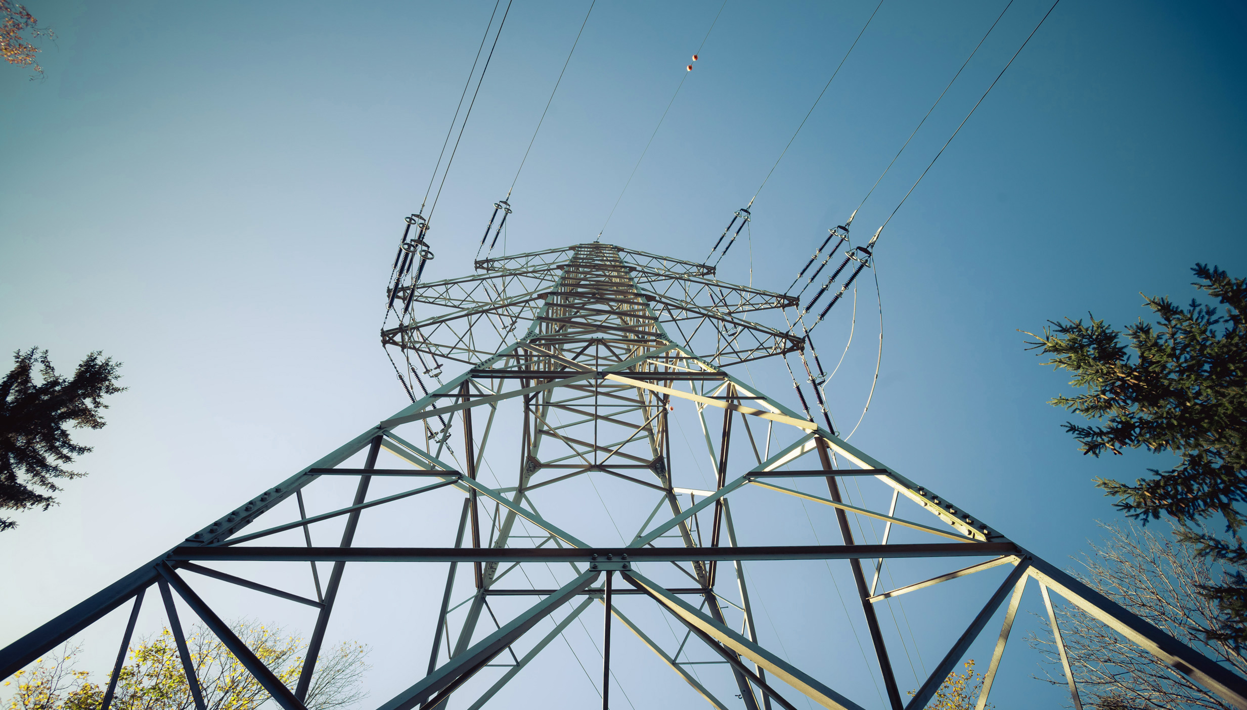 Power Grid Side