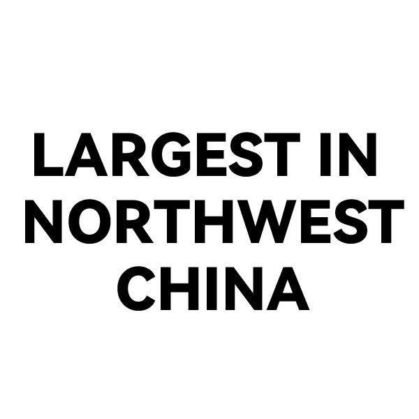 One of the Largest Single-Site VFB Equipment Production Bases